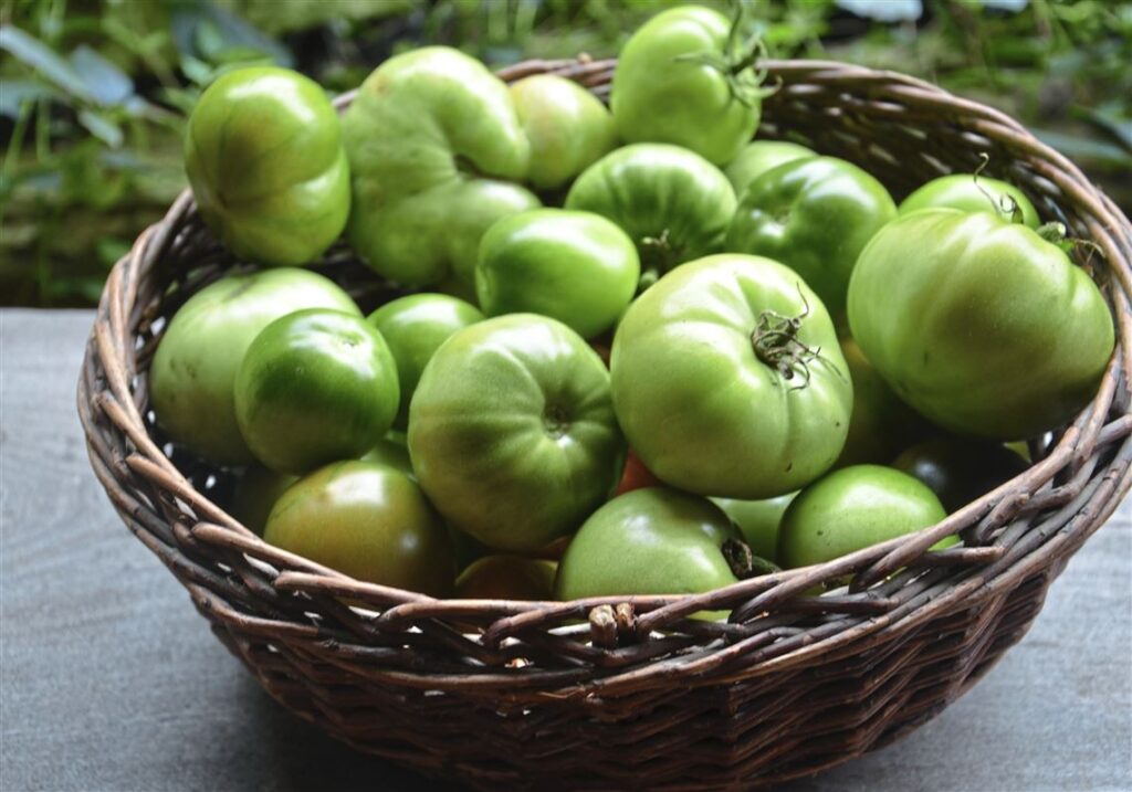 How Great Is The Green Tomato For Men's Wellbeing